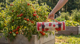 Tomato Print | Lifestyle image in garden