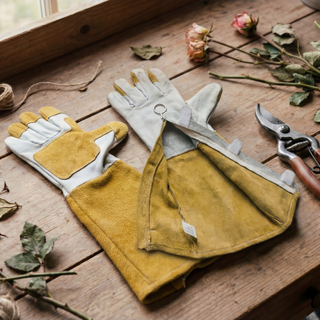 Easy on off zip-up rose pruning gloves for senior gardeners on tabletop